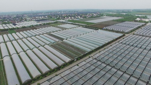 DJI_0003 (10)_緙╁皬澶у皬.jpg