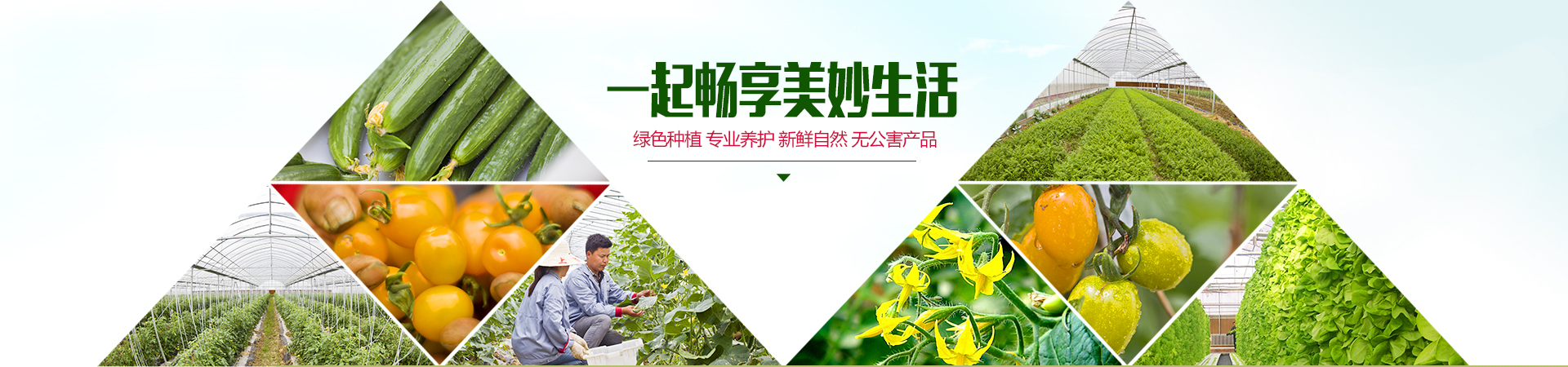 蘇州江瀾生態農業科技發展有限公司