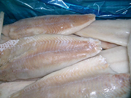 冷凍魚片