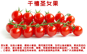 小番茄（千禧）
